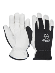 Snow II vinterhandske Gloves 234