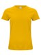 029365-10-XS