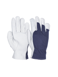Tech Gloves 84