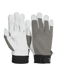 BASIC Light Gloves
