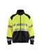 3558-2528-3399-4XL
